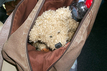 Görögországban Kalimaci