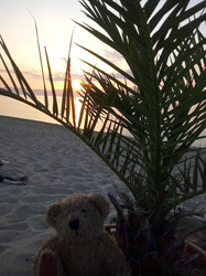 Görögországban Kalimaci